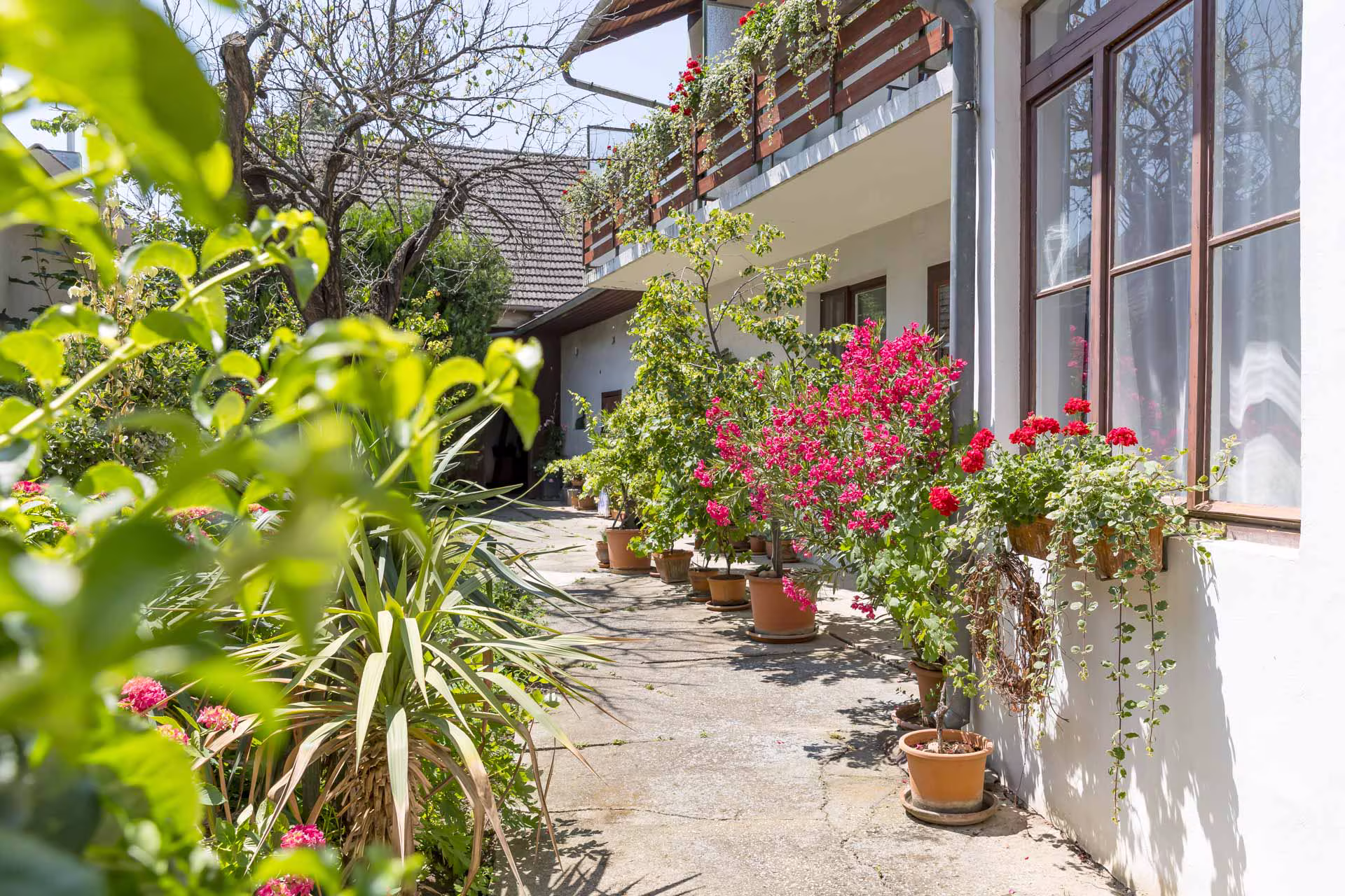 Garten 2