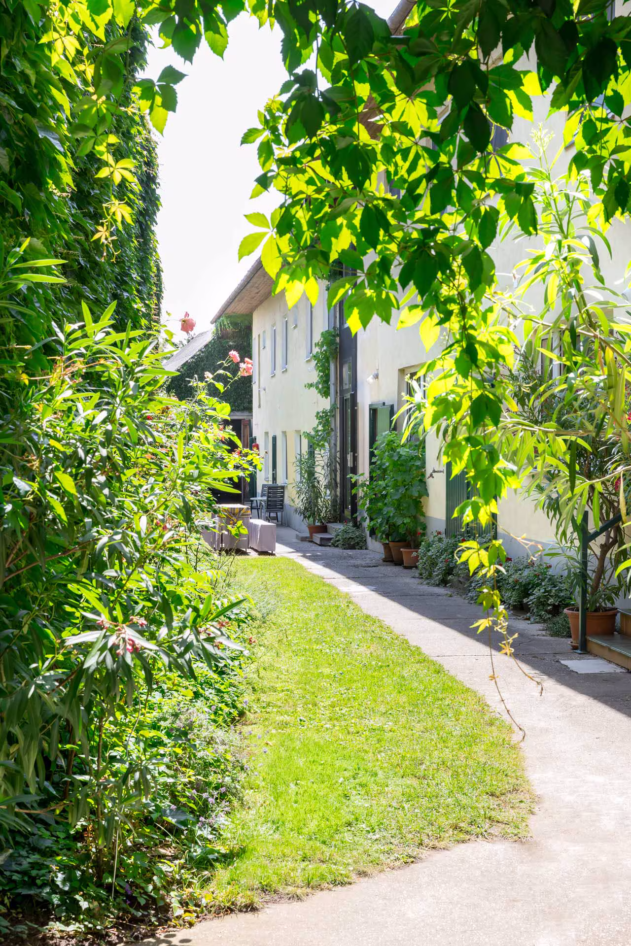 Appartement 6